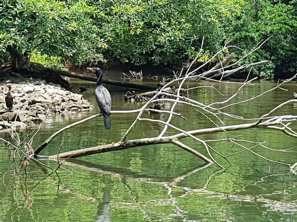 Pousada Morada Das Ilhas Boicucanga Bagian luar foto