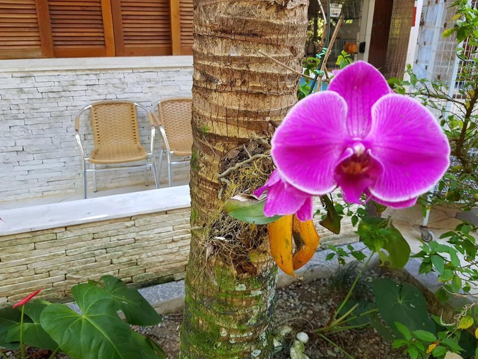 Pousada Morada Das Ilhas Boicucanga Bagian luar foto