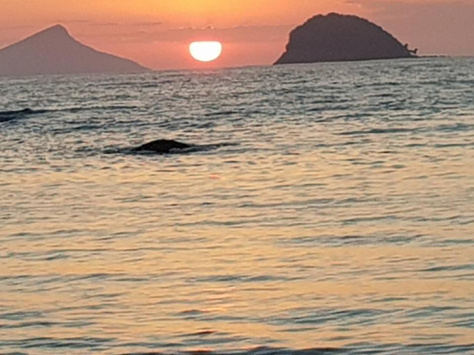 Pousada Morada Das Ilhas Boicucanga Bagian luar foto