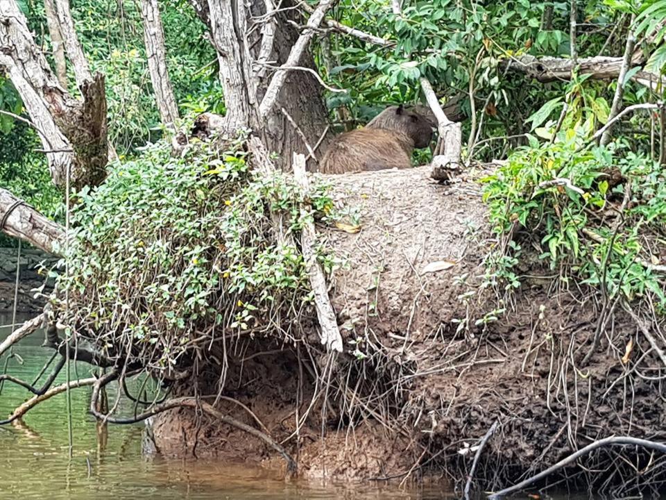 Pousada Morada Das Ilhas Boicucanga Bagian luar foto